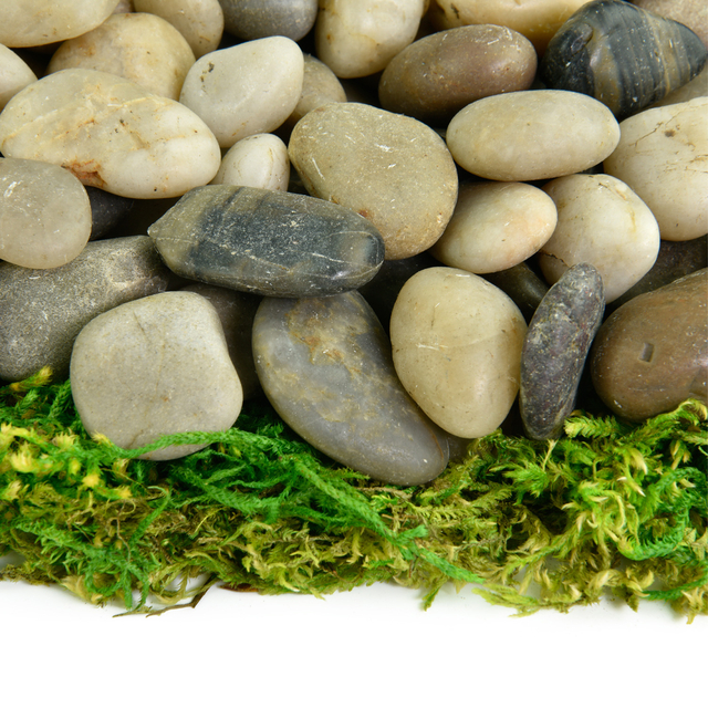 Mixed Polished decorative pebble in pile on moss