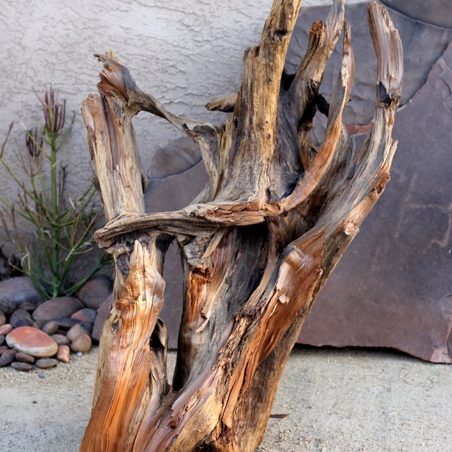 Decorative cedar root element display at rock yard
