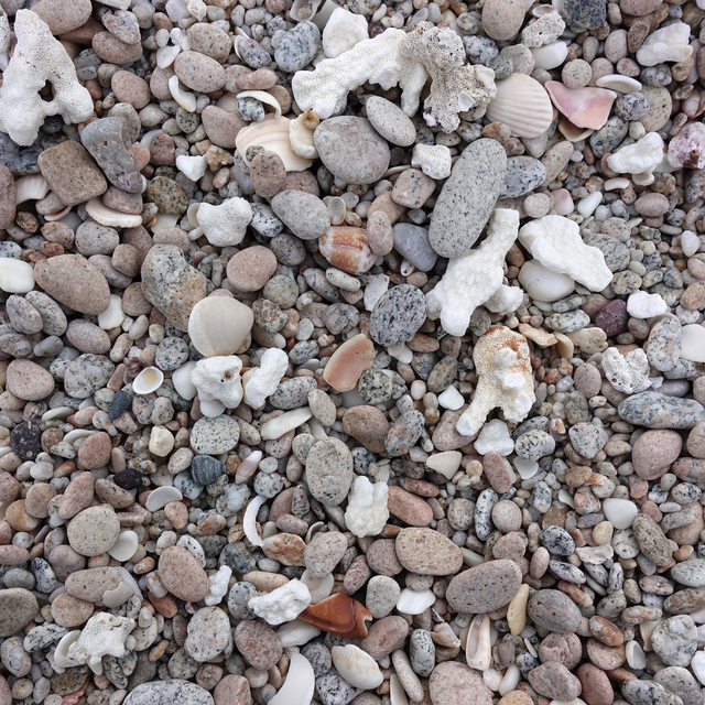 Seashore blend criva pebble in rock yard.