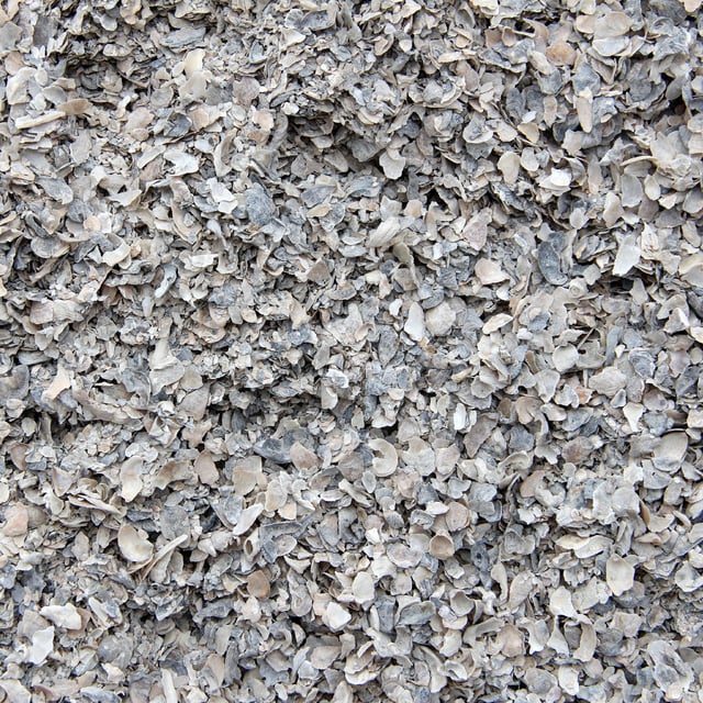 Crushed Oyster shell landscape groundcover in bulk at rock yard