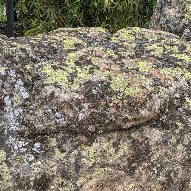Colorado Moss landscape boulder closeup texture